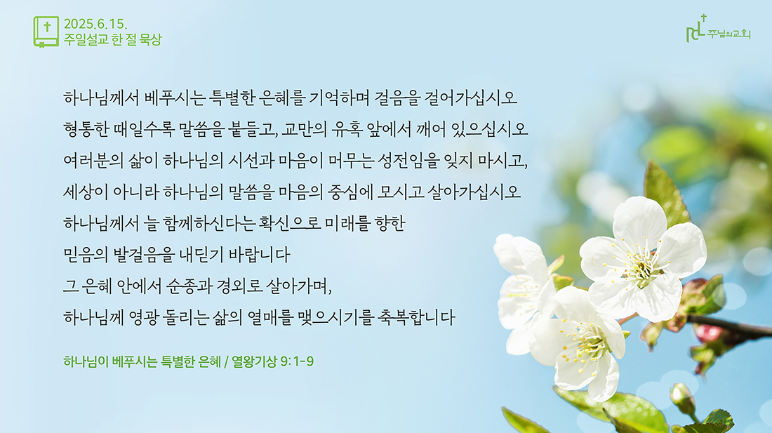 2025년 6월 15일 주일설교 한 절 묵상