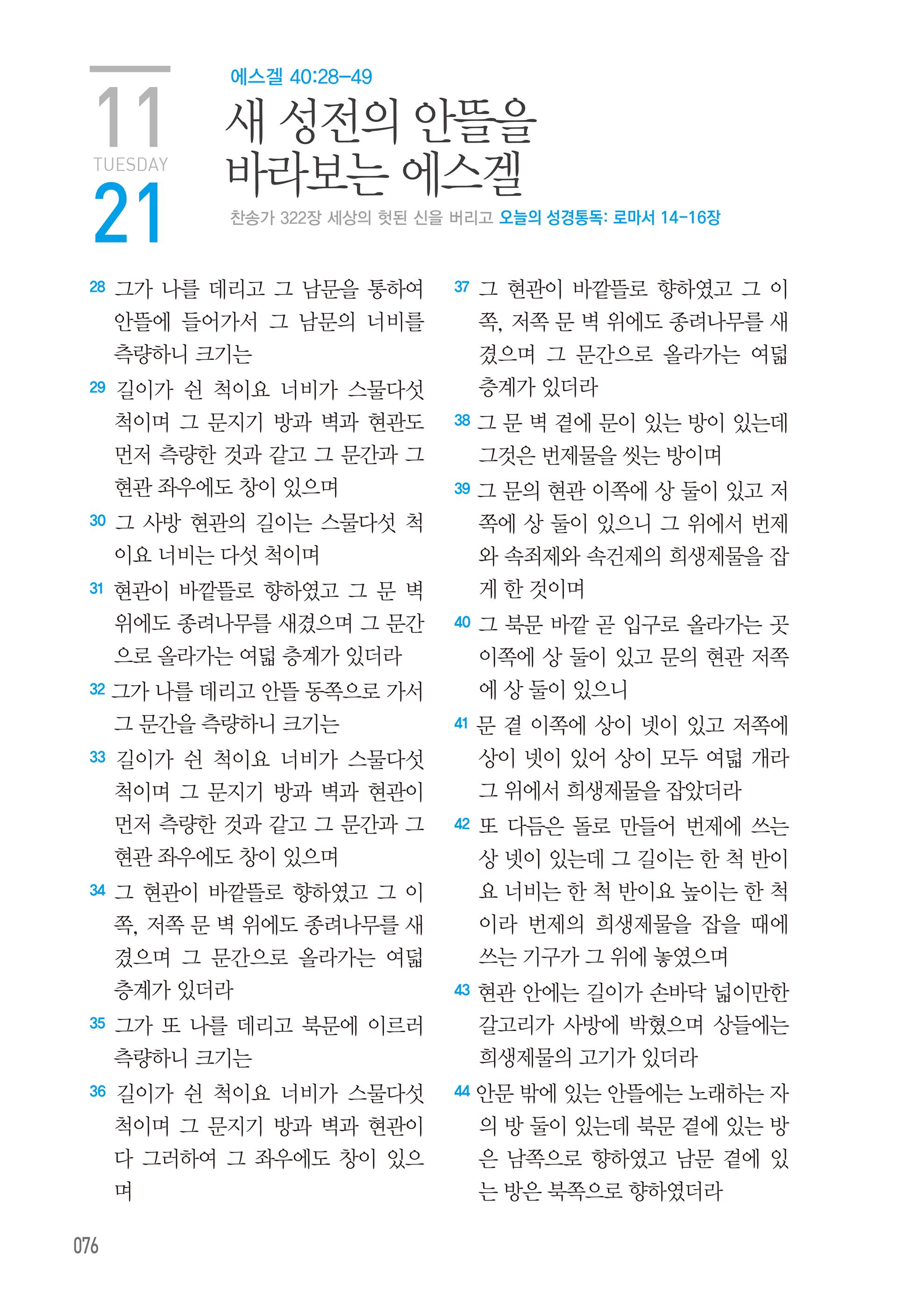 11월 21일