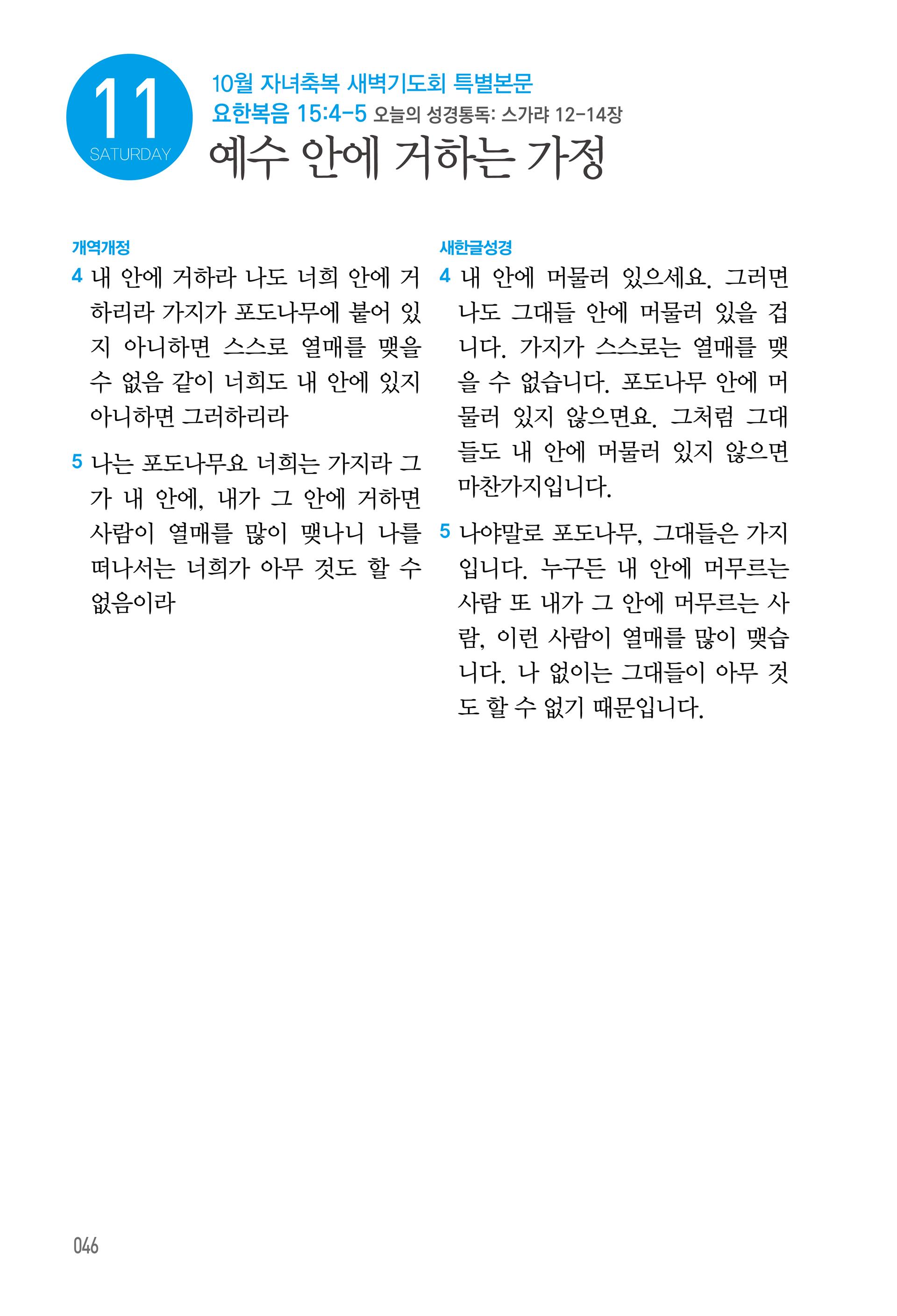 10월 11일