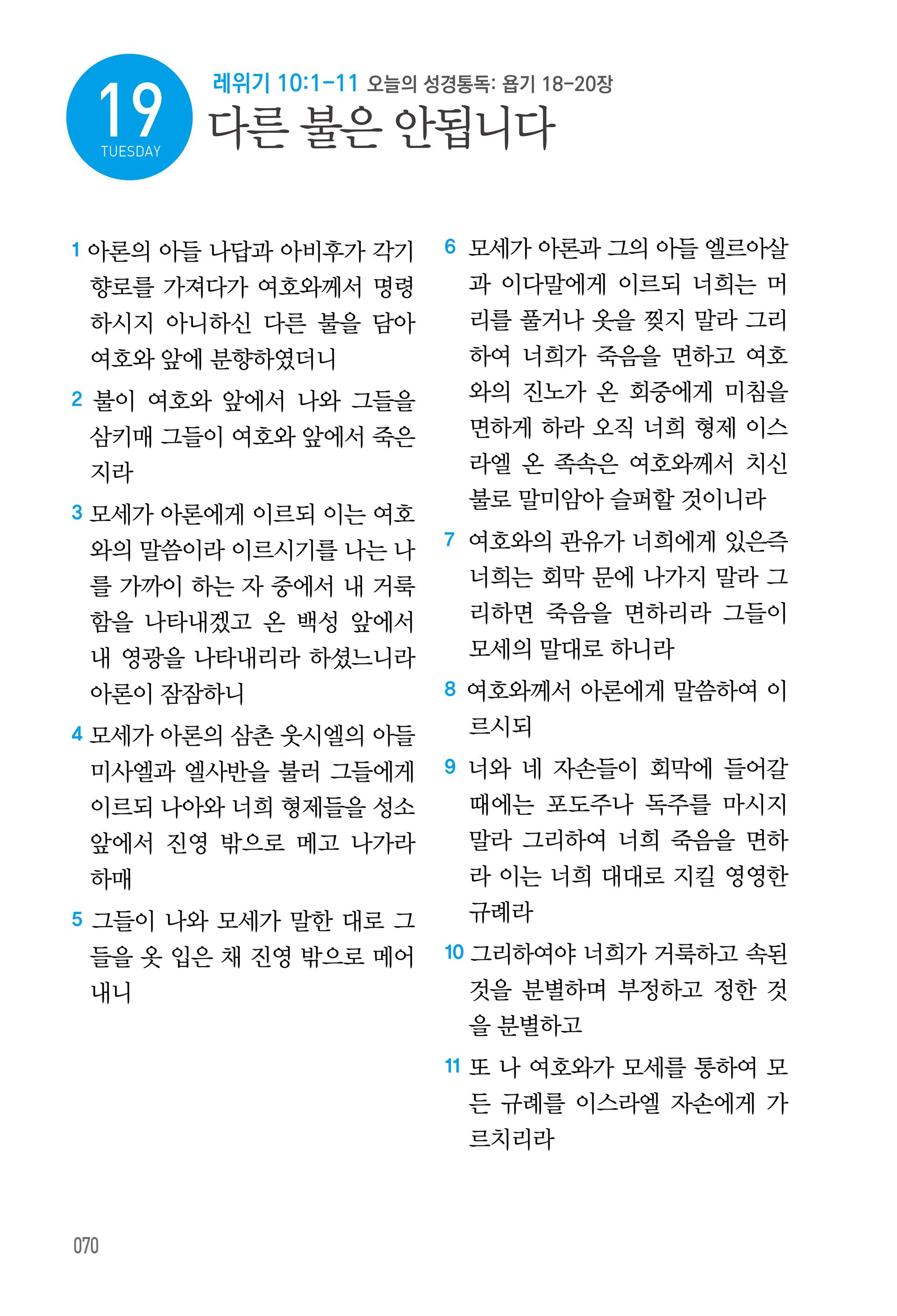 05월 19일