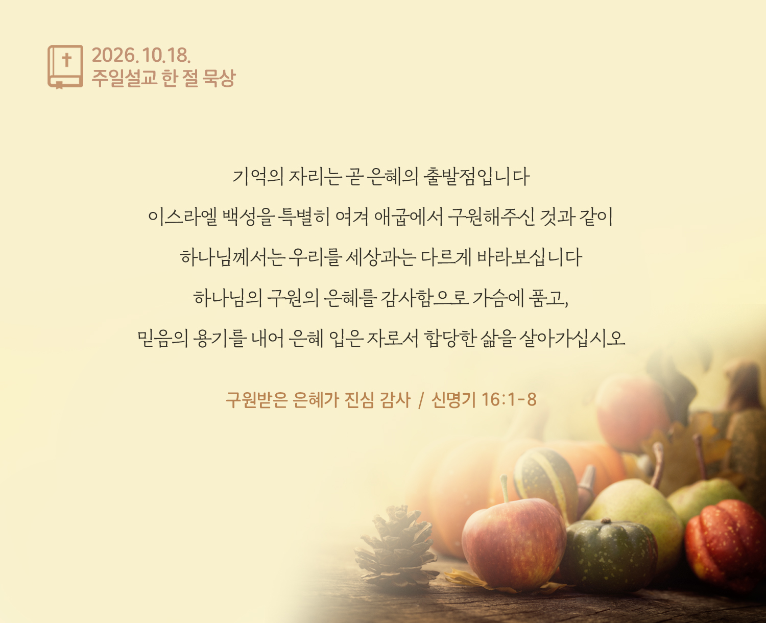 주님의교회 주일설교 한 절 묵상